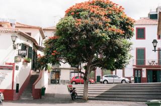 Location voiture aéroport Funchal Madère : agences et tarifs